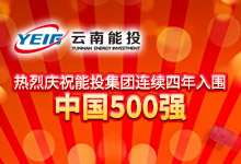 熱烈慶祝能投集團(tuán)連續(xù)四年入圍中國500強(qiáng)-云南能投居正產(chǎn)業(yè)投資有限公司