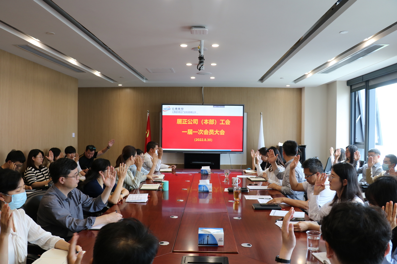 云南能投居正產(chǎn)業(yè)投資有限公司召開本部工會一屆一次會員大會-云南能投居正產(chǎn)業(yè)投資有限公司