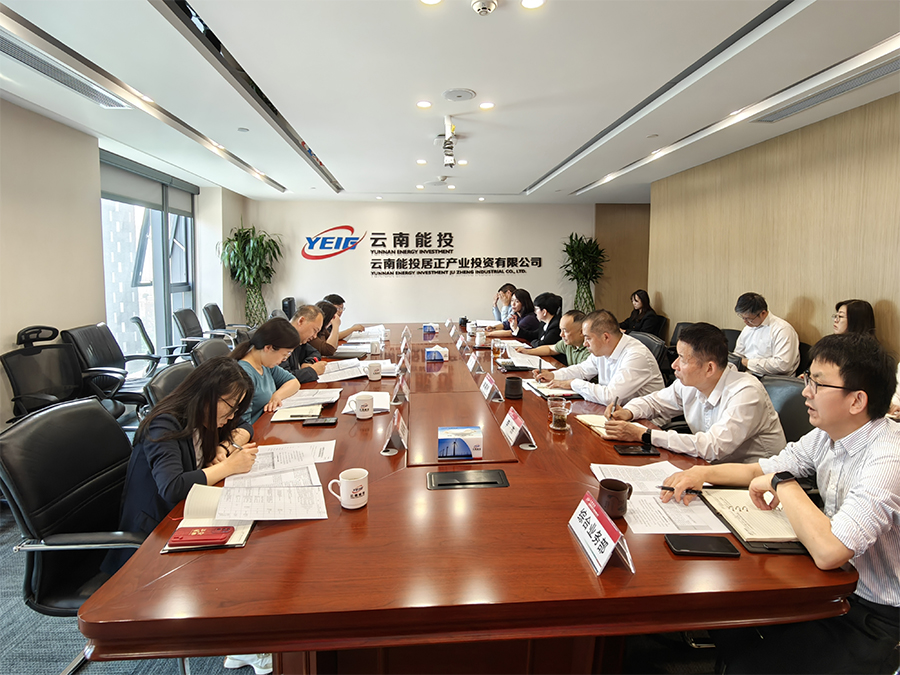 黃寧一行到居正公司開(kāi)展瘦身健體專(zhuān)項(xiàng)工作調(diào)研-云南能投居正產(chǎn)業(yè)投資有限公司